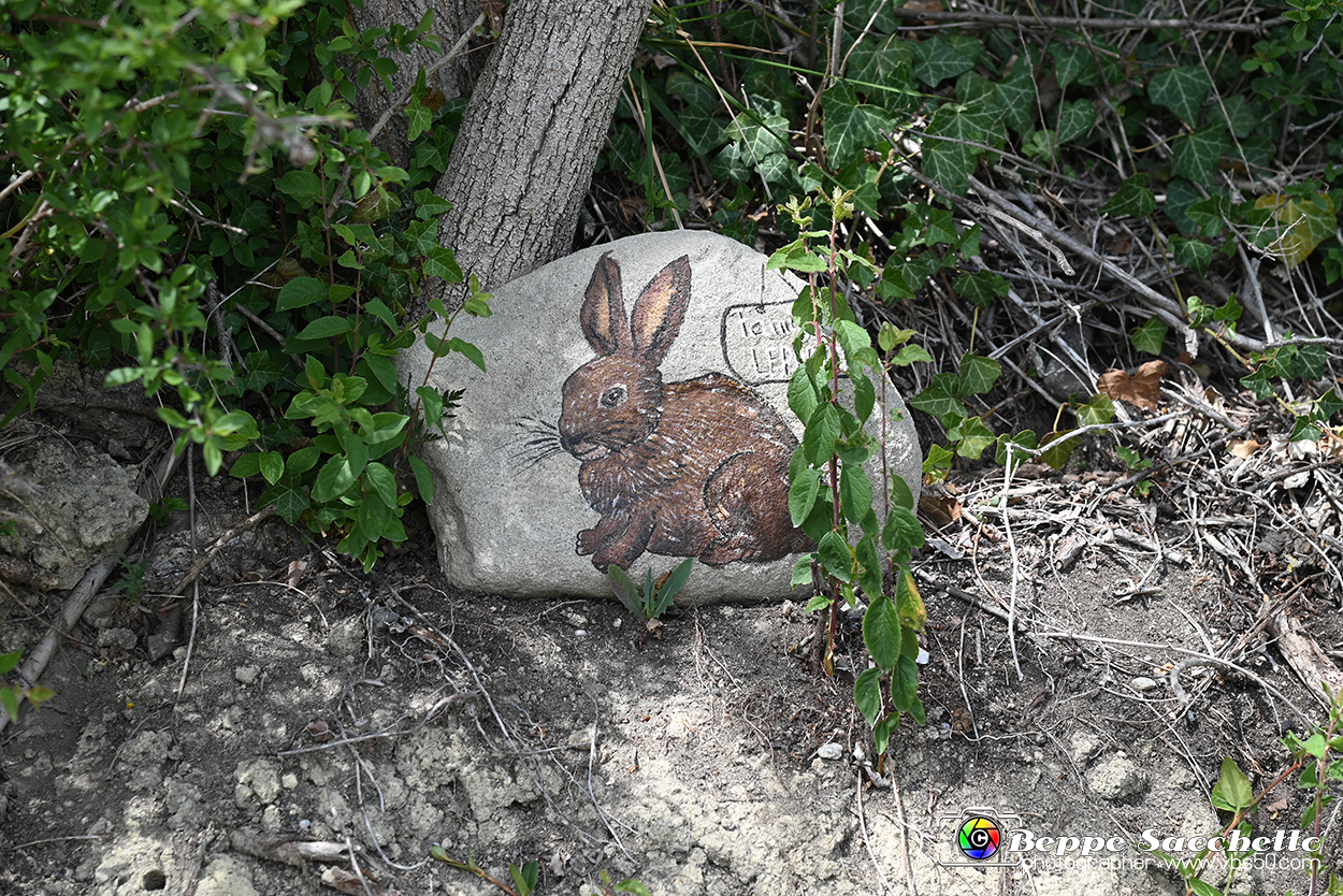 VBS_3096 - Mango (Cuneo) - Gnomovia.jpg